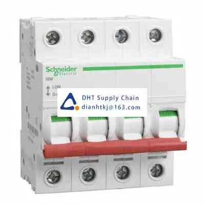 Disconnector and components Schneider Electric_SEA91254