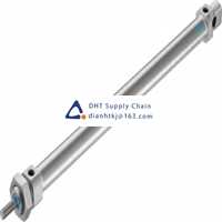 Pneumatic accessories _Festo_DSNU-20-300-P-A