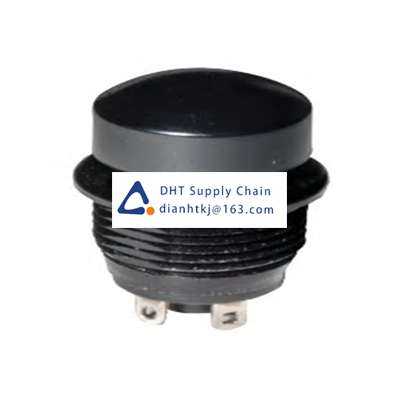 Pushbutton switches and components C & K_NP8E2D203QE