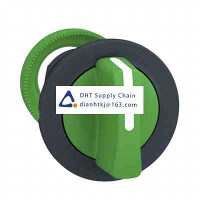 Key switches and selector switches Schneider Electric_ZB5FD303