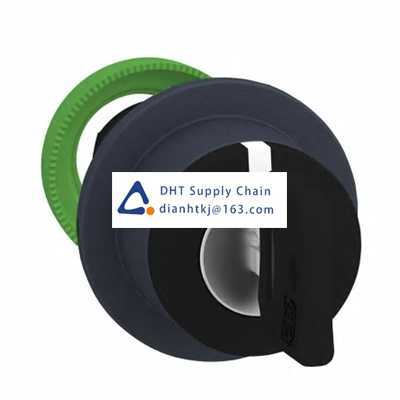 Key switches and selector switches Schneider Electric_ZB5FG3D