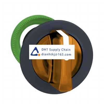 Key switches and selector switches Schneider Electric_ZB5FK1253