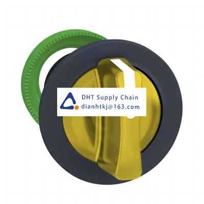 Key switches and selector switches Schneider Electric_ZB5FD705