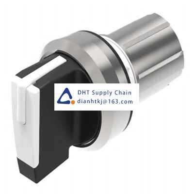 Key switches and selector switches EAO_45-2819.2C90.003