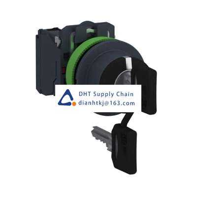 Key switches and selector switches Schneider Electric_XB5FG03