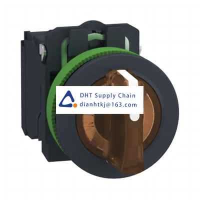 Key switches and selector switches Schneider Electric_XB5FK135B5