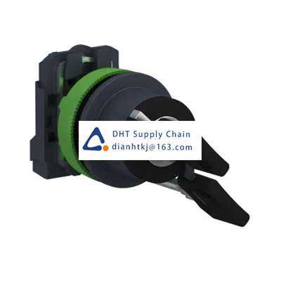 Key switches and selector switches Schneider Electric_XB5FG61