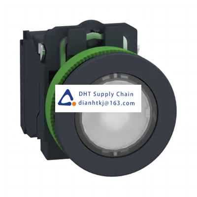 Pushbutton switches and components Schneider Electric_XB5FW31B5