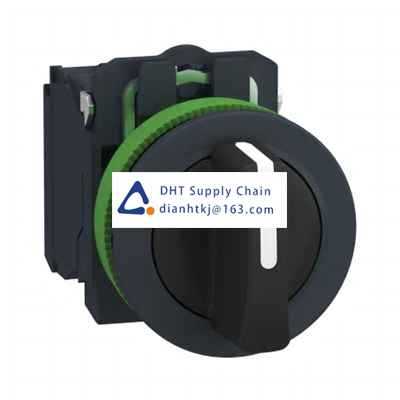 Key switches and selector switches Schneider Electric_XB5FD53