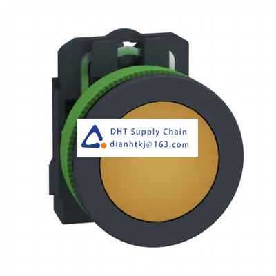 Pushbutton switches and components Schneider Electric_XB5FVB5