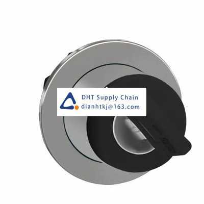 Key switches and selector switches Schneider Electric_ZB4FG2