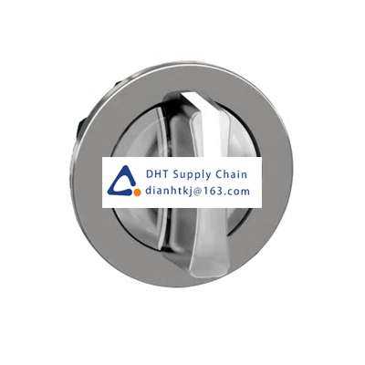 Key switches and selector switches Schneider Electric_ZB4FK1313