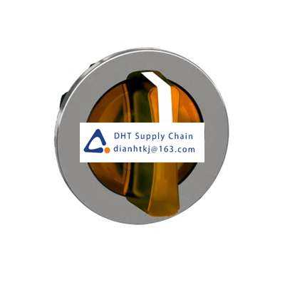 Key switches and selector switches Schneider Electric_ZB4FK1353