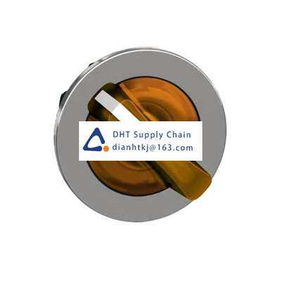 Key switches and selector switches Schneider Electric_ZB4FK1453