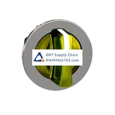 Key switches and selector switches Schneider Electric_ZB4FK1783