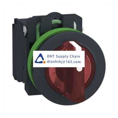 Key switches and selector switches Schneider Electric_XB5FK134G5