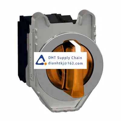 Key switches and selector switches Schneider Electric_XB4FK135G5