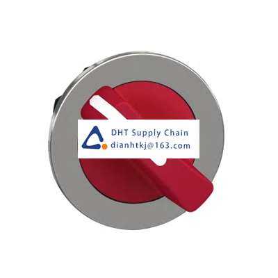 Key switches and selector switches Schneider Electric_ZB4FD204