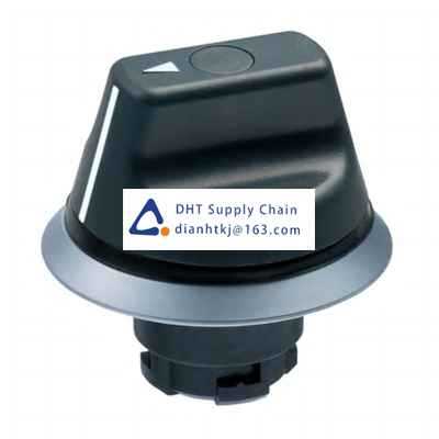 Key switches and selector switches Schmersal_101164769