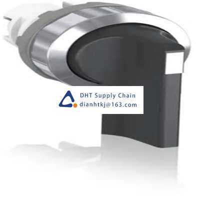 Key switches and selector switches ABB_1SFA611213R3006