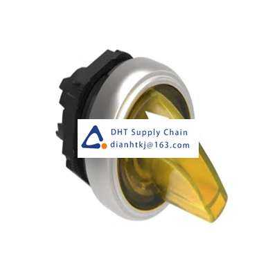 Key switches and selector switches Lovato_LPCSL1205