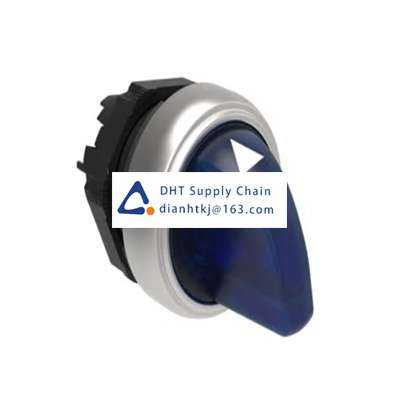 Key switches and selector switches Lovato_LPCSL1306