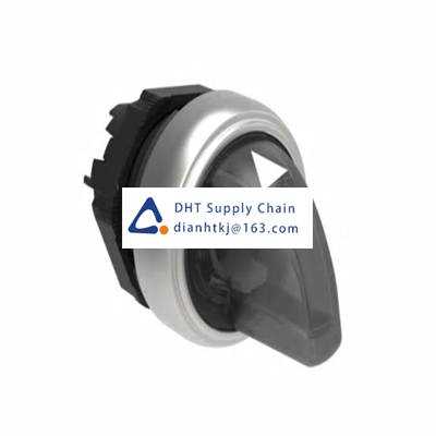 Key switches and selector switches Lovato_LPCSL1308