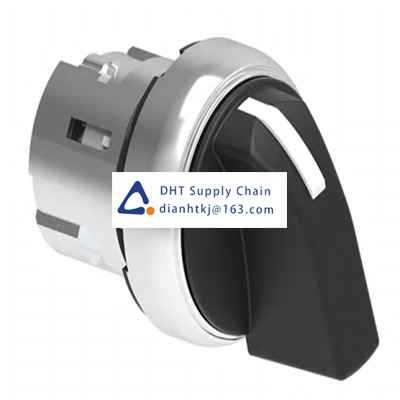 Key switches and selector switches Lovato_LPSS120