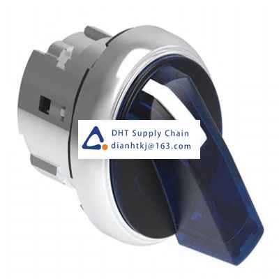 Key switches and selector switches Lovato_LPSSL1306