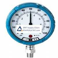 Pneumatic accessories _Rosemount_WPG45XI1G11D000100Q4Q8