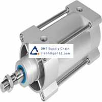 Pneumatic accessories _Festo_DSBG-63-40-PPSA-N3