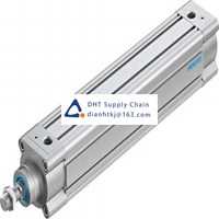 Pneumatic accessories _Festo_DSBC-63-300-D3-PPVA-N3