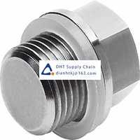 Pneumatic accessories _Festo_CDVI5.0-B-G1/4