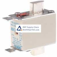  Fuses and Circuit Breakers SIBA_20-000-04/80A