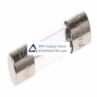  Fuses and Circuit Breakers Schurter_0034.3112