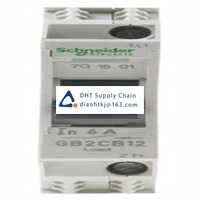 Fuses and Circuit Breakers Schneider Electric_GB2CB12