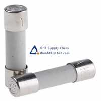  Fuses and Circuit Breakers SIBA_70-007-65/10A