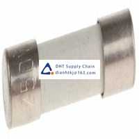  Fuses and Circuit Breakers SIBA_70-007-65/16A