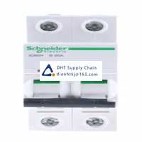  Fuses and Circuit Breakers Schneider Electric_A9F53220