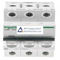  Fuses and Circuit Breakers Schneider Electric_A9F53306