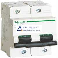  Fuses and Circuit Breakers Schneider Electric_A9N19804