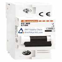  Fuses and Circuit Breakers Lovato_P2MB1PC125