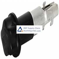  Fuses and Circuit Breakers Schurter_0031.1667