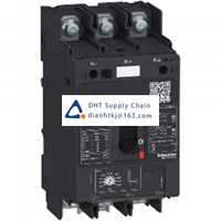  Fuses and Circuit Breakers Schneider Electric_GV4LE25N6