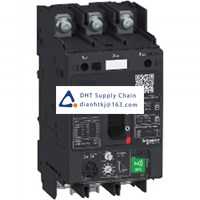  Fuses and Circuit Breakers Schneider Electric_GV4PEM07S6