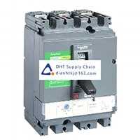  Fuses and Circuit Breakers Schneider Electric_LV525302