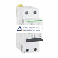  Fuses and Circuit Breakers Schneider Electric_A9D65216