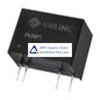 DC/AC converter_cui_PGNP1-S12-S5-S