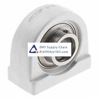 Bearings-seals SKF_SYFWK 20 LTHR