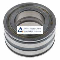 Bearings-seals INA_SL045007-PP